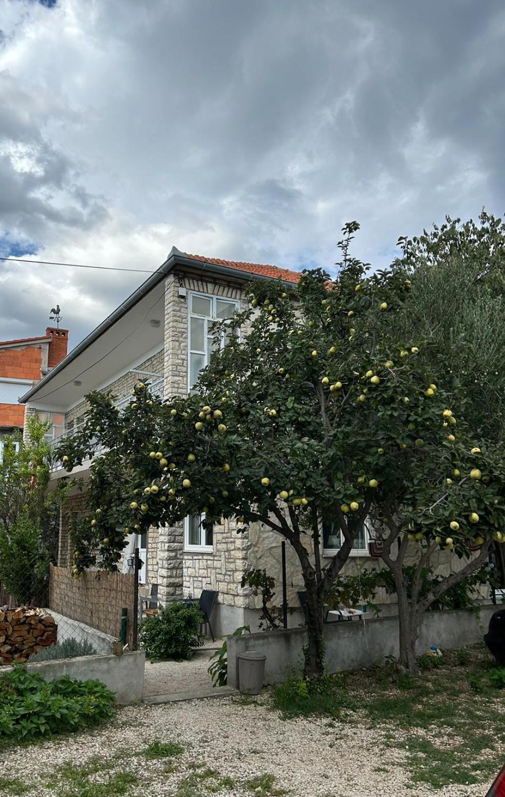 Villa Jadran Zadar Free Parking Sea View Eksteriør billede